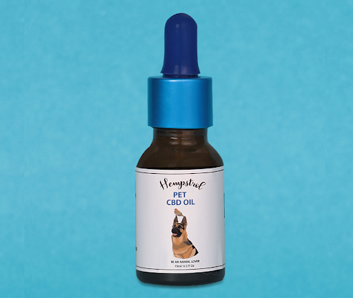 CBD Oil for Dogs: What Every Responsible Pet Owner Should Know Before Using It