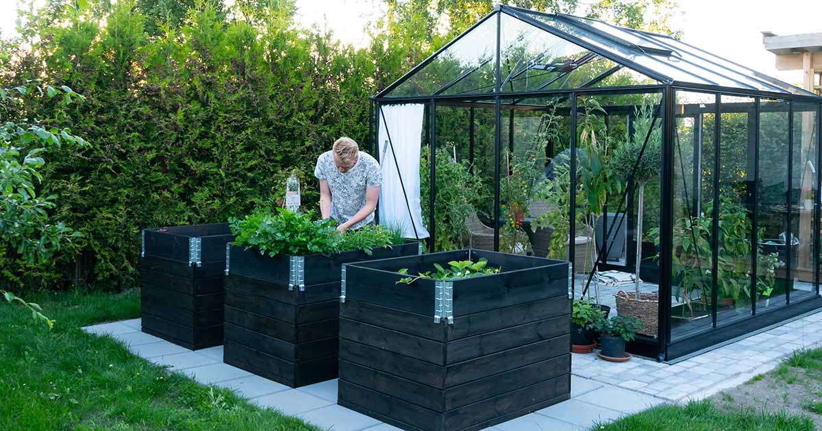 Easy Assembly Greenhouses: From Box to Garden in No Time